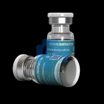 Testoxyl Enanthate 250