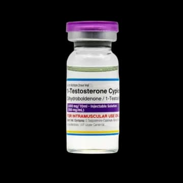 1-Testosterone Cypionate (DHB) - 10 ML VIAL (100 MG/ML)