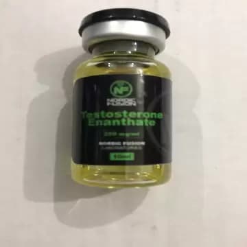 TESTOSTERONE ENANTHATE