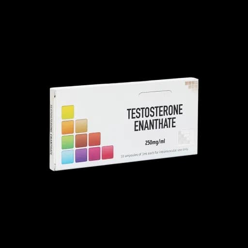 TESTOSTERONE ENANTHATE