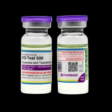 EQ Test 500